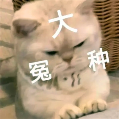 可爱表情包头像图片