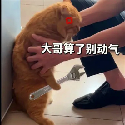 可爱表情包头像图片