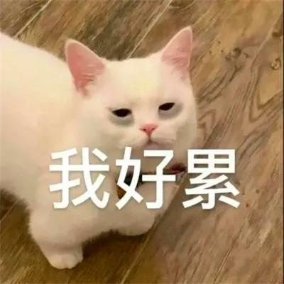 可爱表情包头像图片