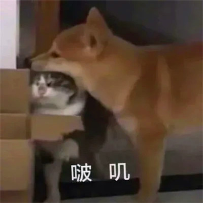 可爱表情包头像图片