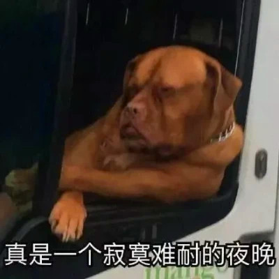 可爱表情包头像图片