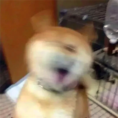可爱表情包头像图片