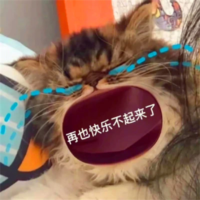 可爱表情包头像图片