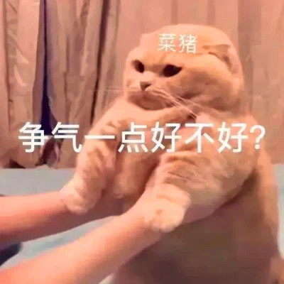 可爱表情包头像图片
