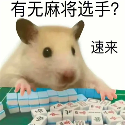 可爱表情包头像图片