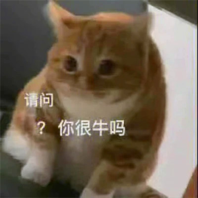 可爱表情包头像图片