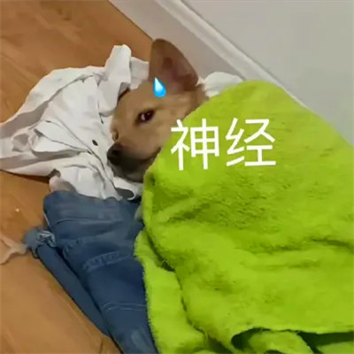可爱表情包头像图片