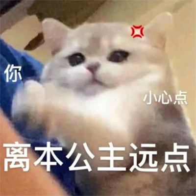可爱表情包头像图片