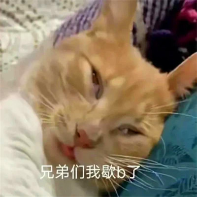 可爱表情包头像图片