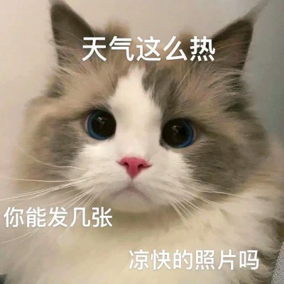 表情头像逗比图片