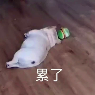 表情头像逗比图片