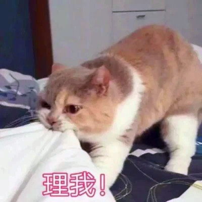 表情头像逗比图片