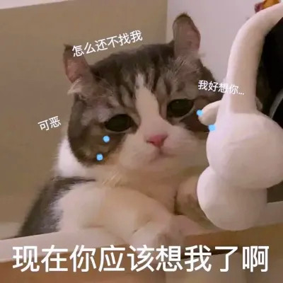 表情头像逗比图片