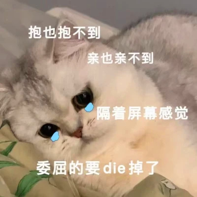 表情头像逗比图片