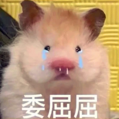 表情头像逗比图片