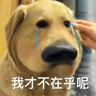 表情头像逗比图片
