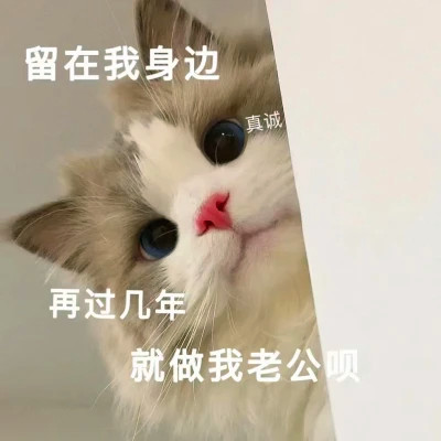 表情头像逗比图片