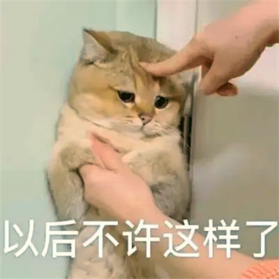 表情头像逗比图片