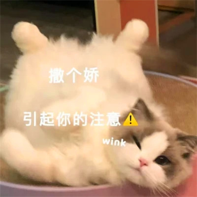 表情头像逗比图片