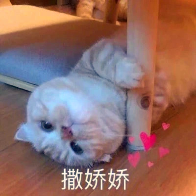 表情头像逗比图片