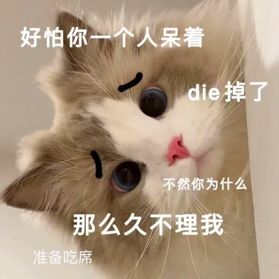 表情头像逗比图片
