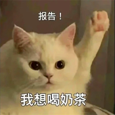 表情头像逗比图片