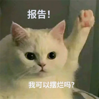 表情头像逗比图片
