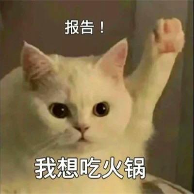 表情头像逗比图片