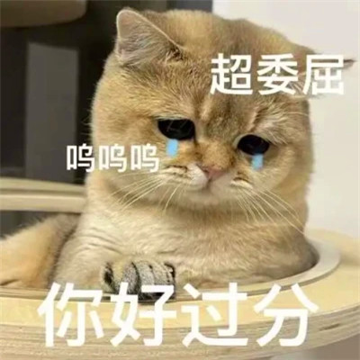 表情头像逗比图片