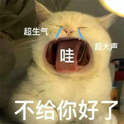表情头像逗比图片