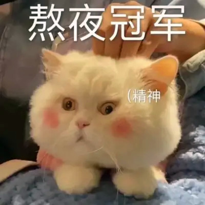 表情头像逗比图片