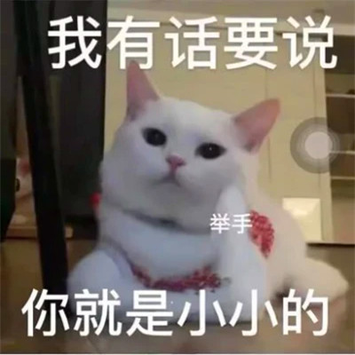 表情头像逗比图片