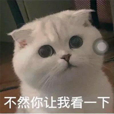 表情头像逗比图片