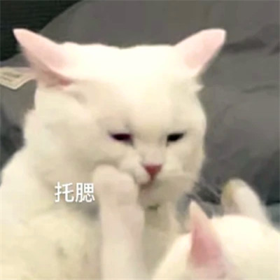 表情头像逗比图片