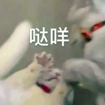 表情头像逗比图片
