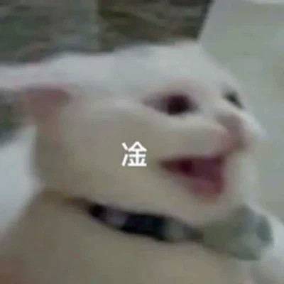 表情头像逗比图片
