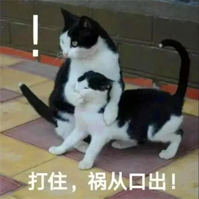 表情头像逗比图片