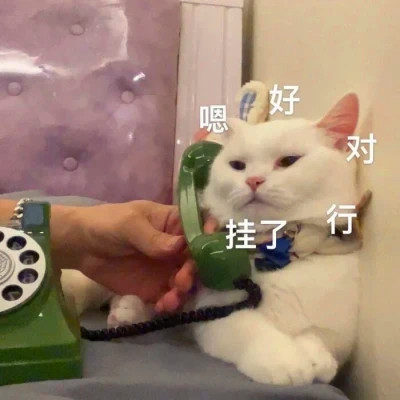 表情头像逗比图片