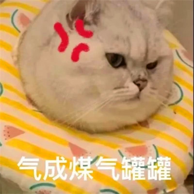 表情头像逗比图片