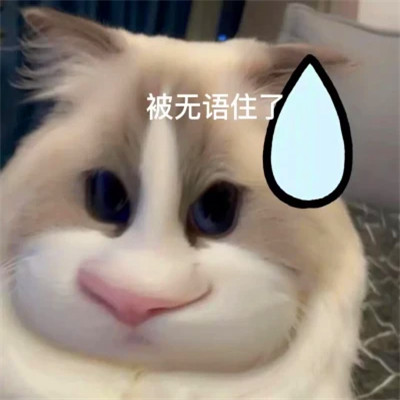 表情头像逗比图片