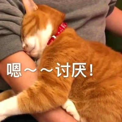 表情头像逗比图片