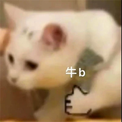 表情头像逗比图片