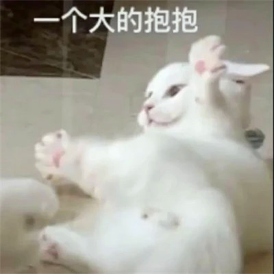 表情头像逗比图片