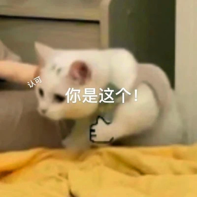 表情头像逗比图片