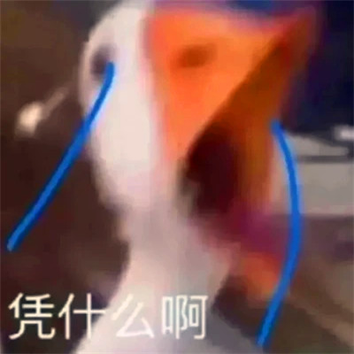 抖音小表情头像图片