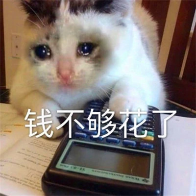 抖音小表情头像图片