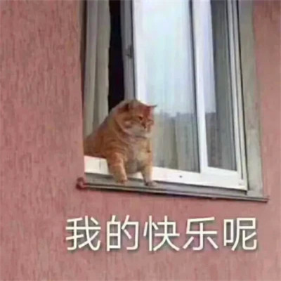 抖音小表情头像图片