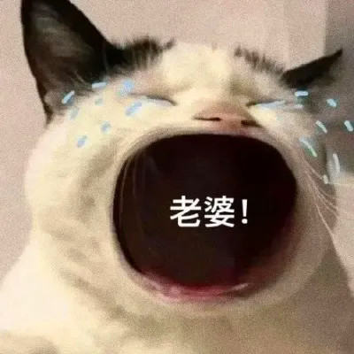 抖音小表情头像图片
