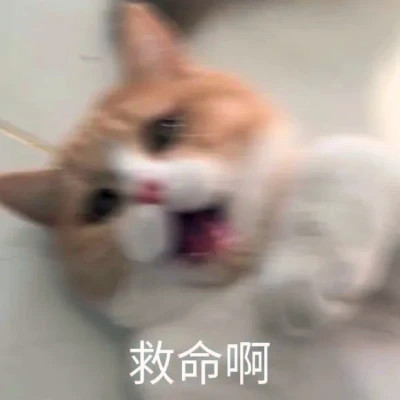 抖音小表情头像图片