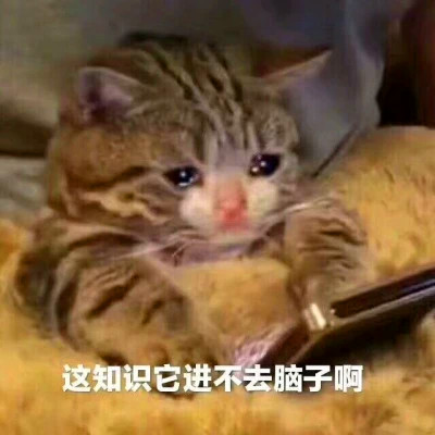 抖音小表情头像图片